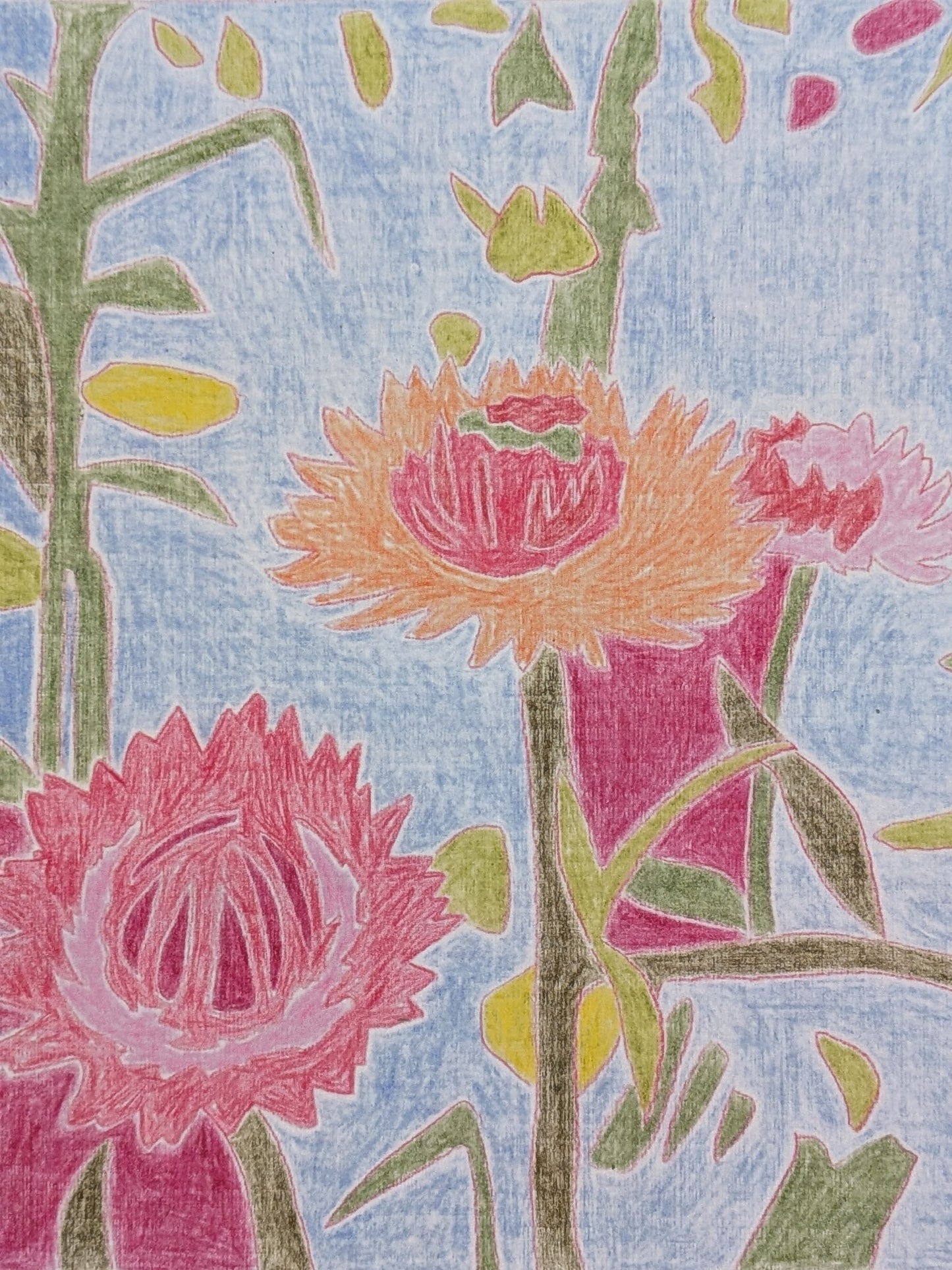 Print 02.10.2025 (not daily not only drawings)