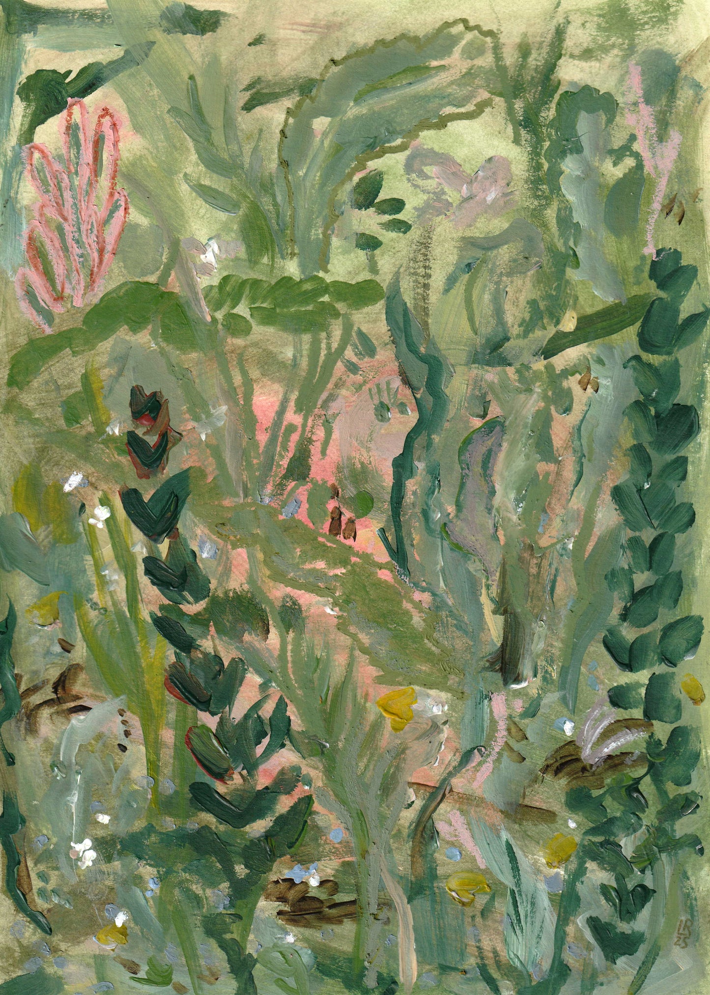 rosy view