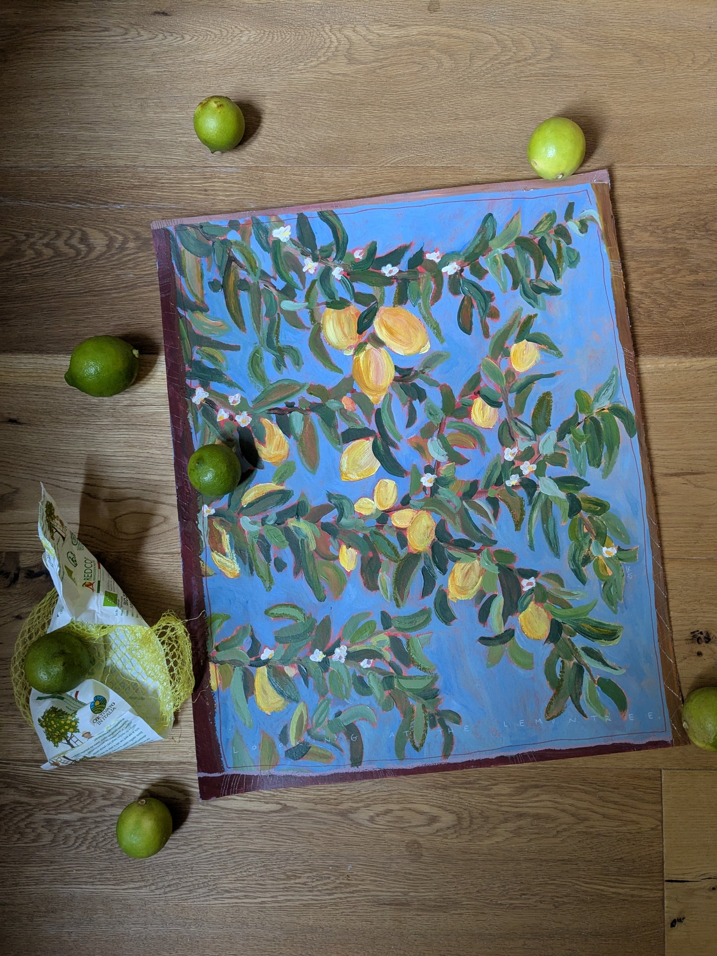 Looking at the lemontree