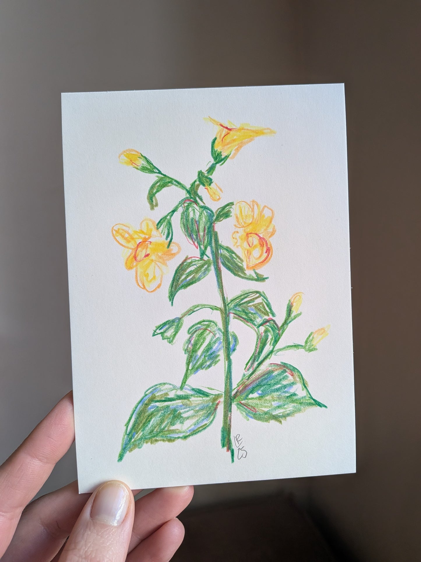 Mini floral drawing