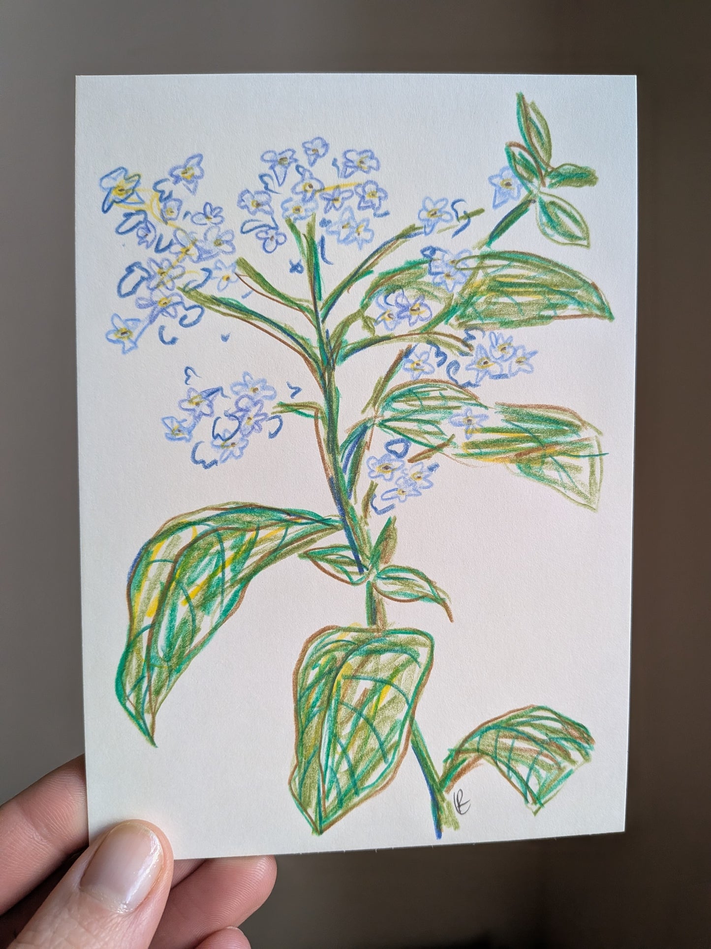 Mini floral drawing
