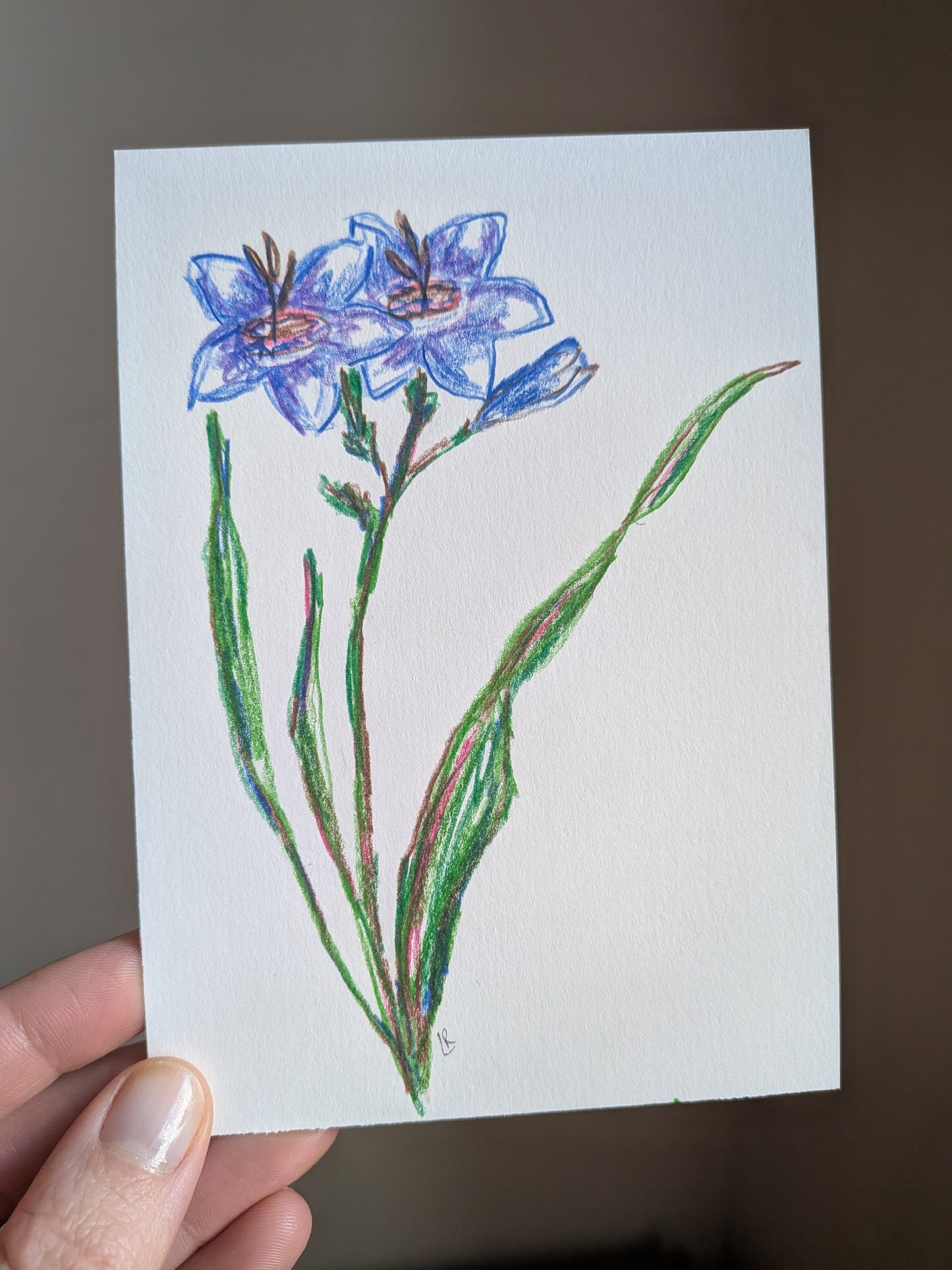 Mini floral drawing
