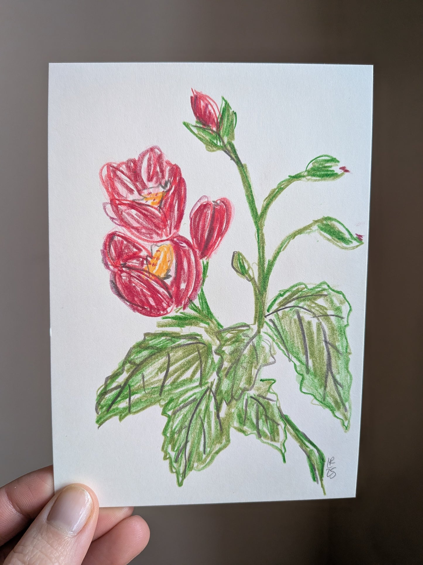Mini floral drawing