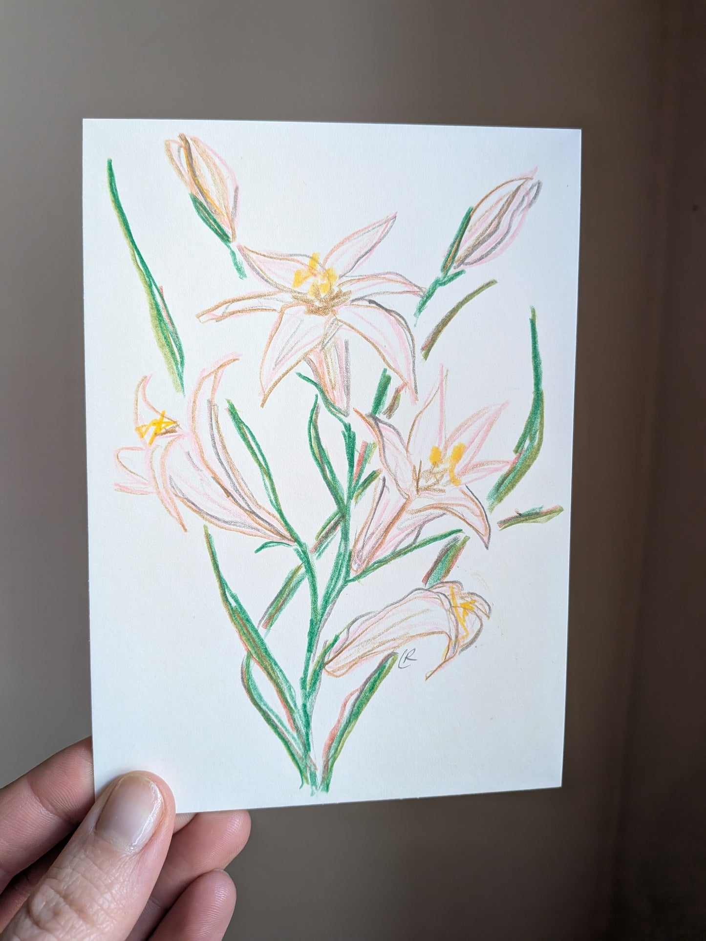Mini floral drawing