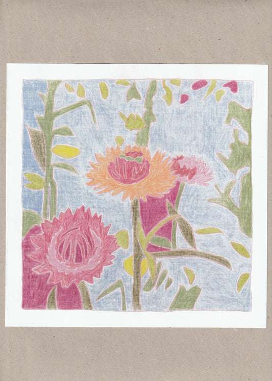 Print 02.10.2025 (not daily not only drawings)