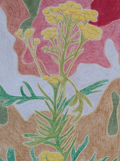 Print 26.09.2025 (not daily not only drawings)