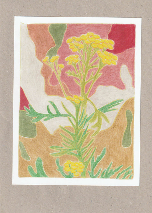 Print 26.09.2025 (not daily not only drawings)