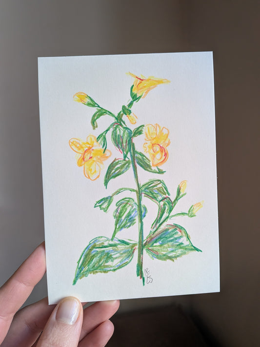 Mini floral drawing