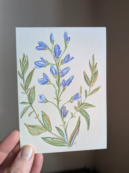Mini floral drawing
