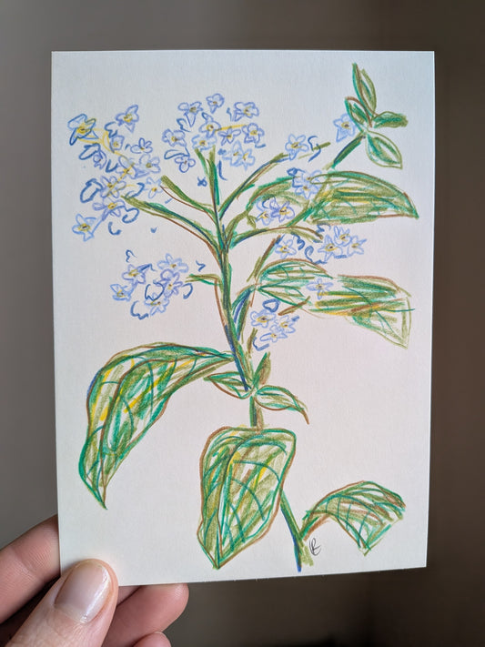 Mini floral drawing