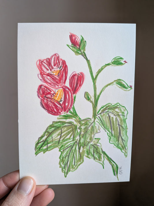 Mini floral drawing