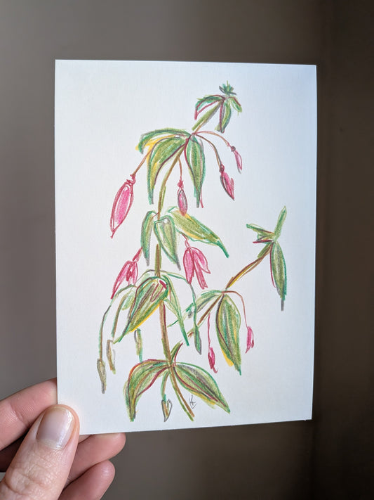 Mini floral drawing