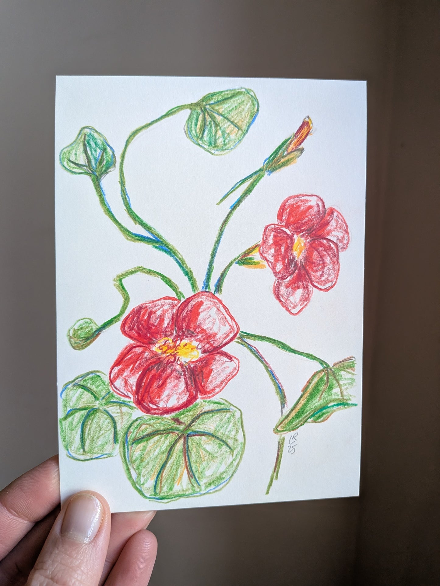 Mini floral drawing