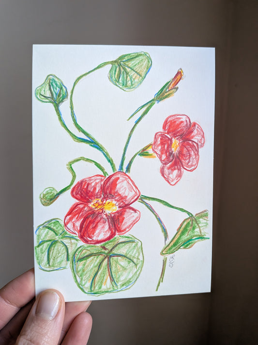 Mini floral drawing