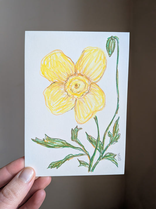 Mini floral drawing