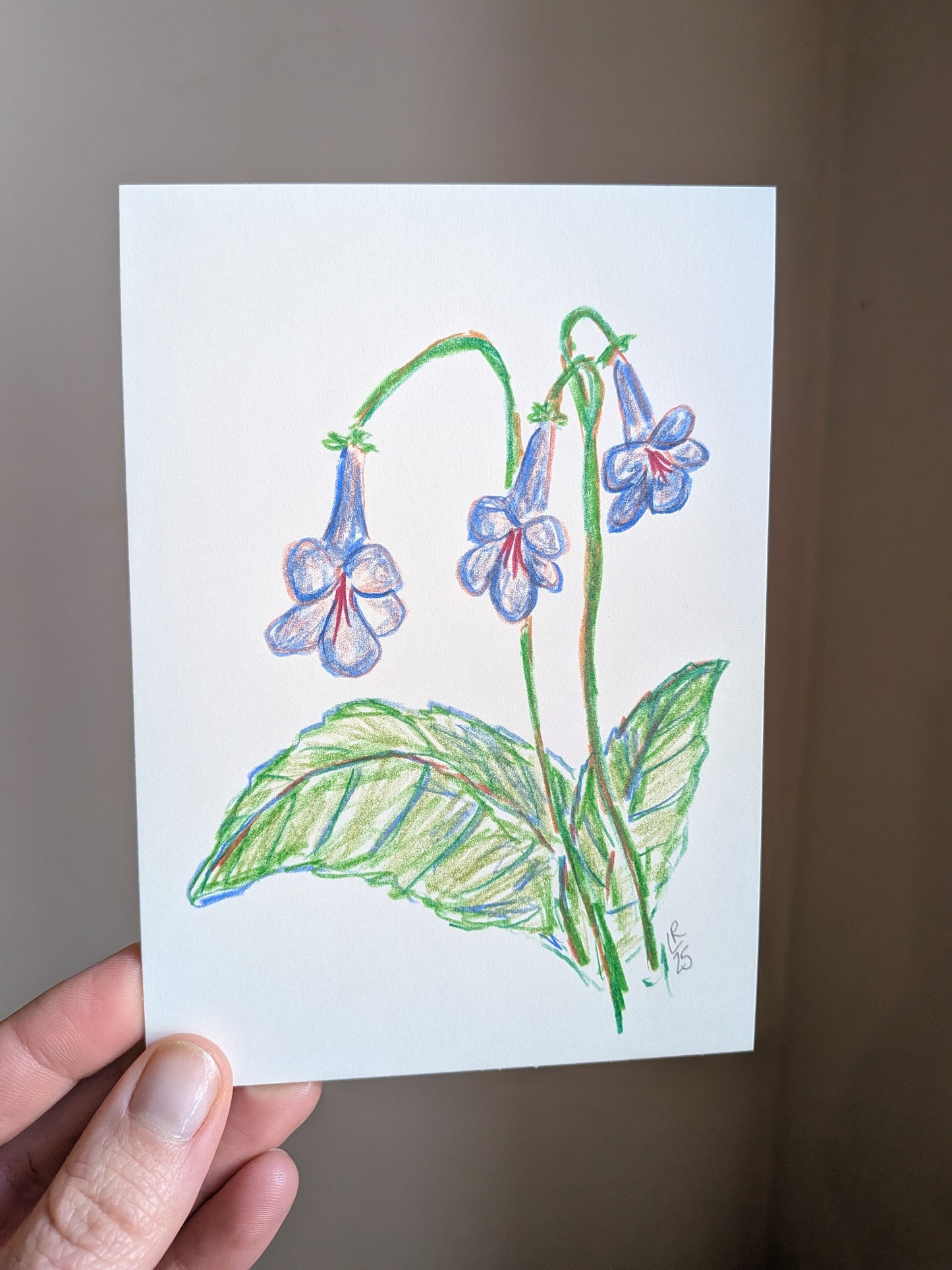 Mini floral drawing