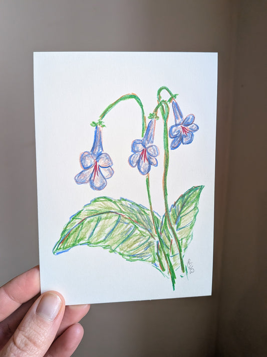 Mini floral drawing
