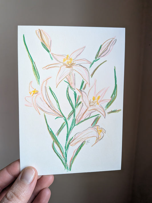 Mini floral drawing