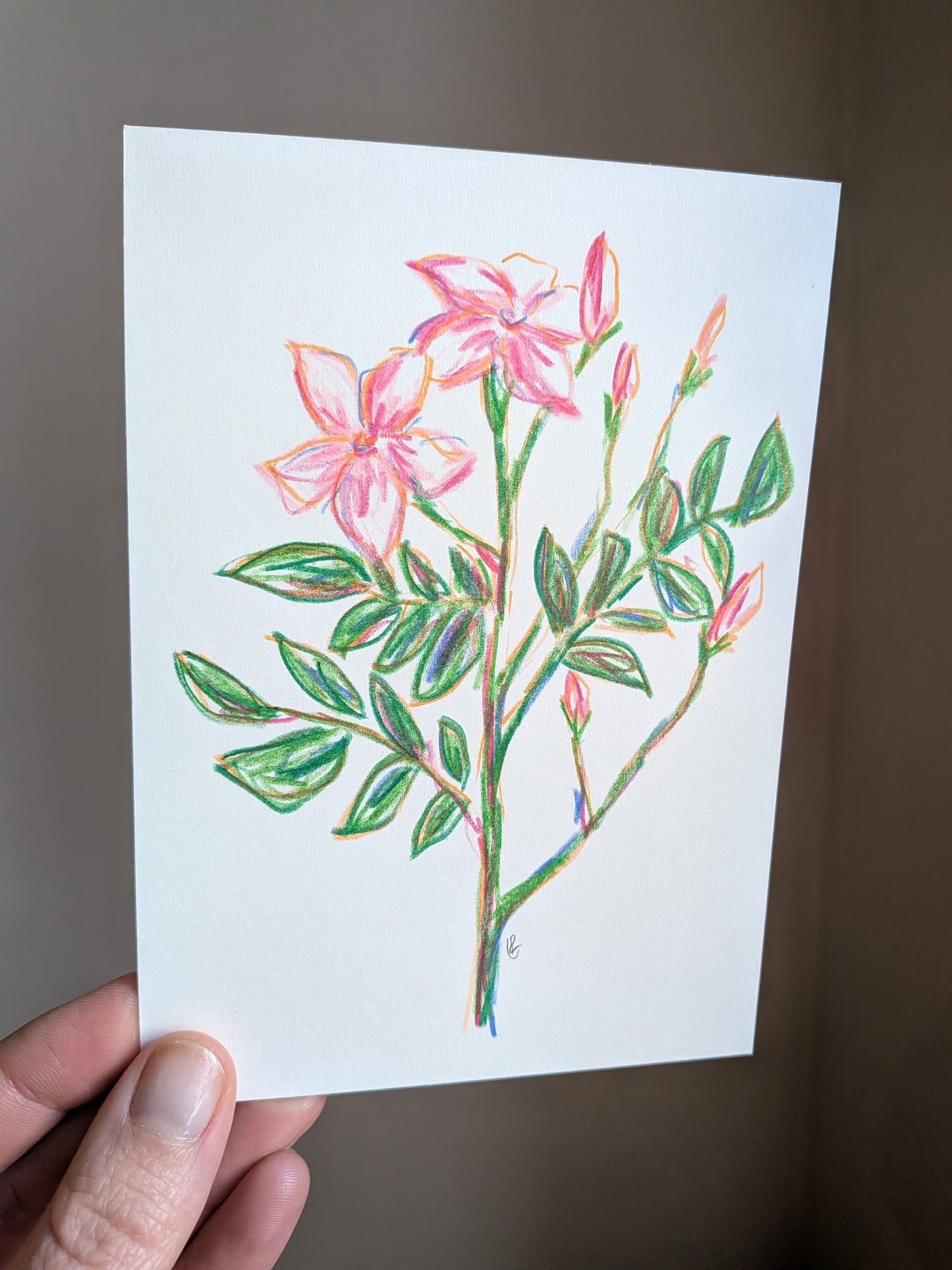 Mini floral drawing